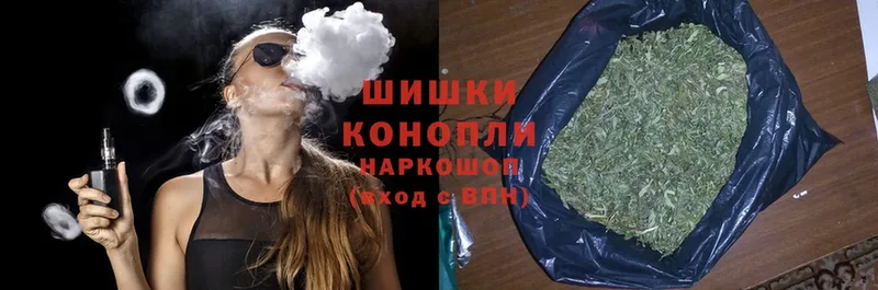 Бошки Шишки SATIVA & INDICA  продажа наркотиков  Томск 